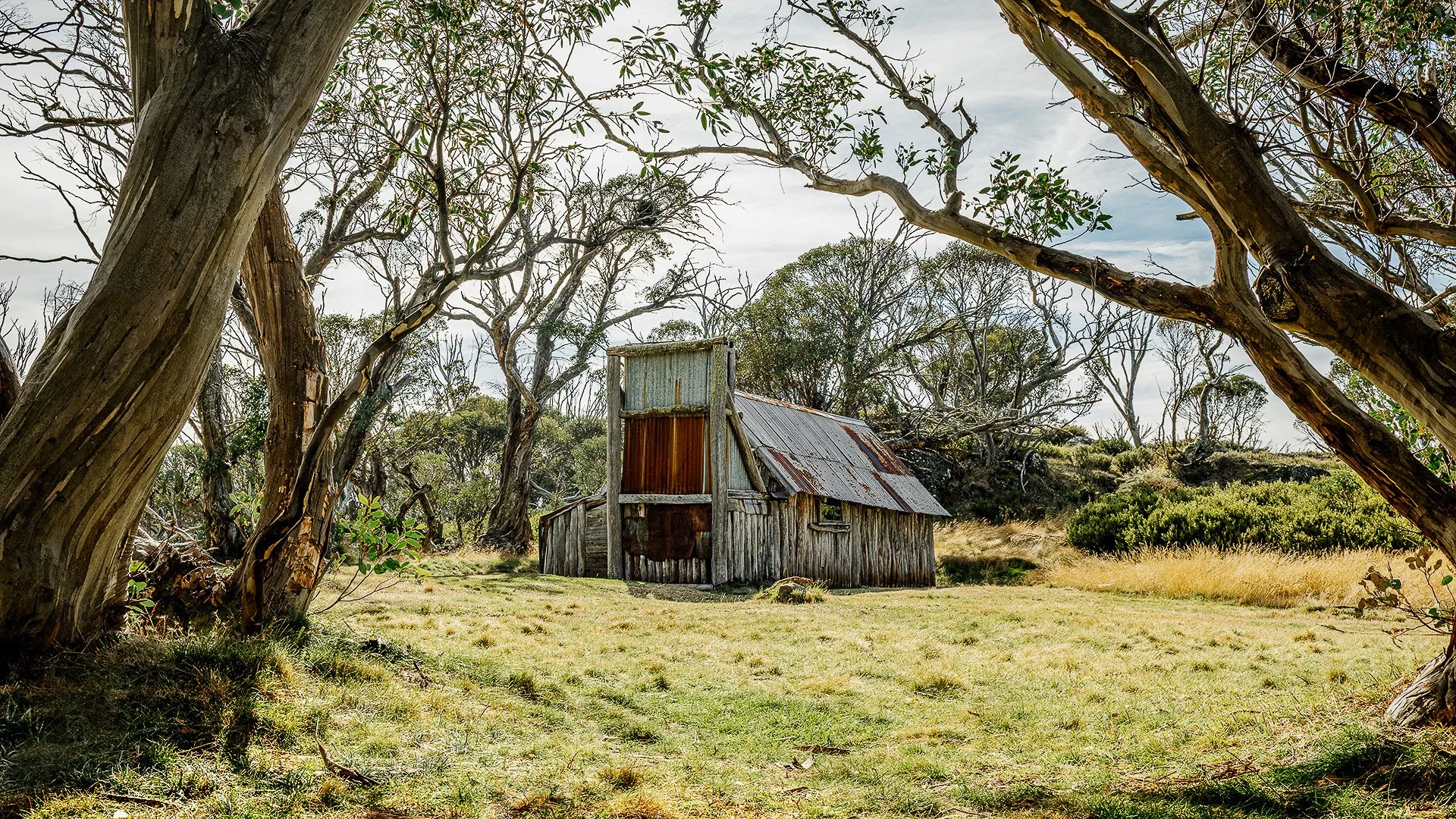 Commended - 5---Kaye-Venton---Wallace's-Hut.jpg
