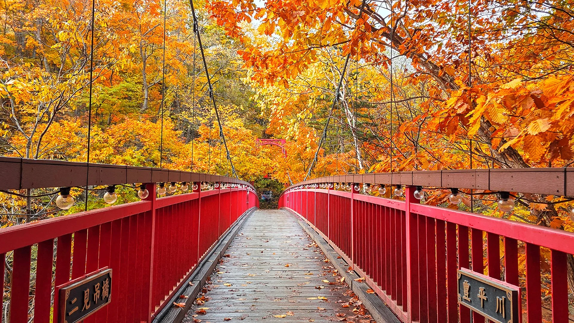 Commended - 5---Kaye-Venton---Red-Bridge.jpg