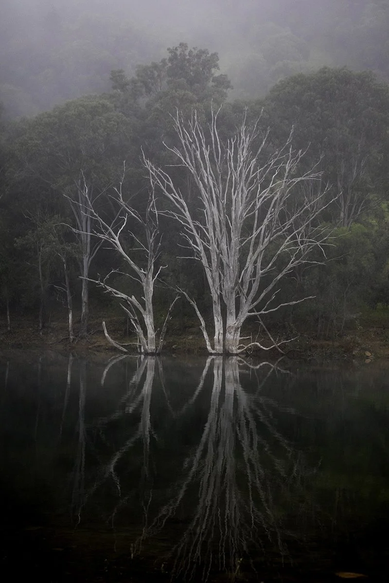 Highly Commended - 6---Allanna-Jessup---Ghost-Gums.jpg