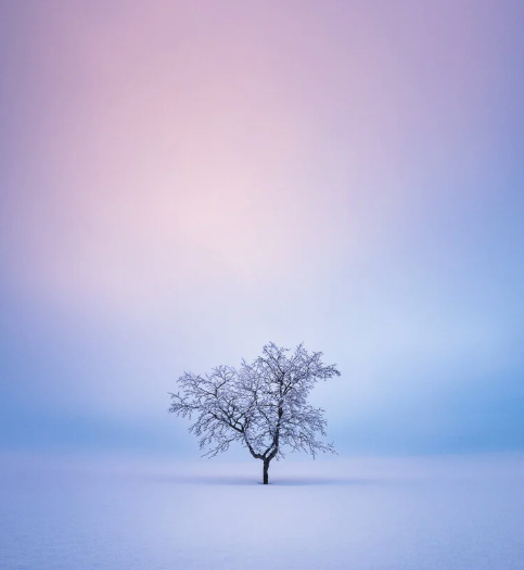 NOVEMBER COMP NIGHT - Minimalism