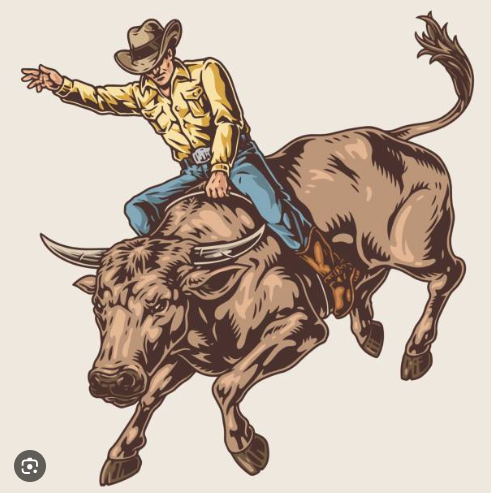 FIELD TRIP - Tenterfield Show &amp; Rodeo