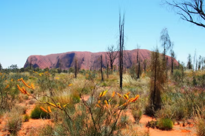 FEBRUARY COMP NIGHT - Australian Scapes
