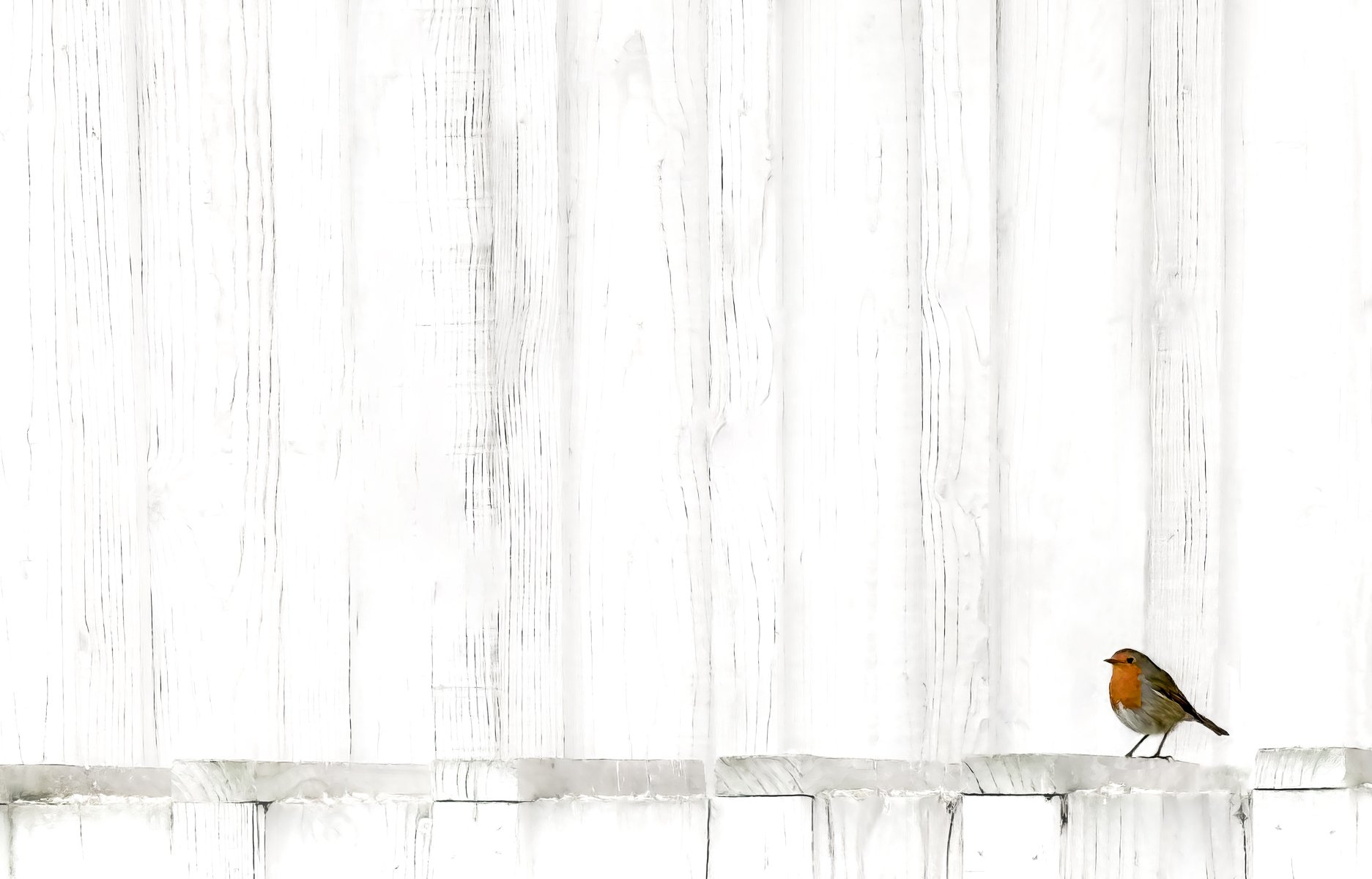 Merit - 7---Victoria-McDonald---Little-Robin-Red-Breast.jpg