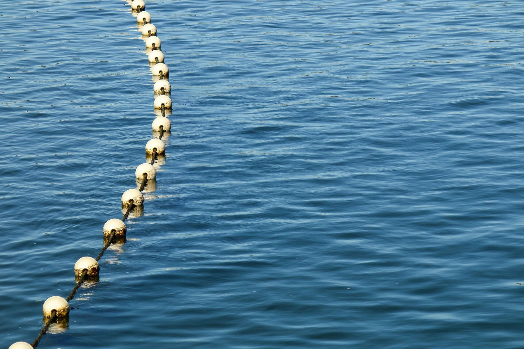 Merit - 8---Allanna-Jessup---The-Buoys.jpg