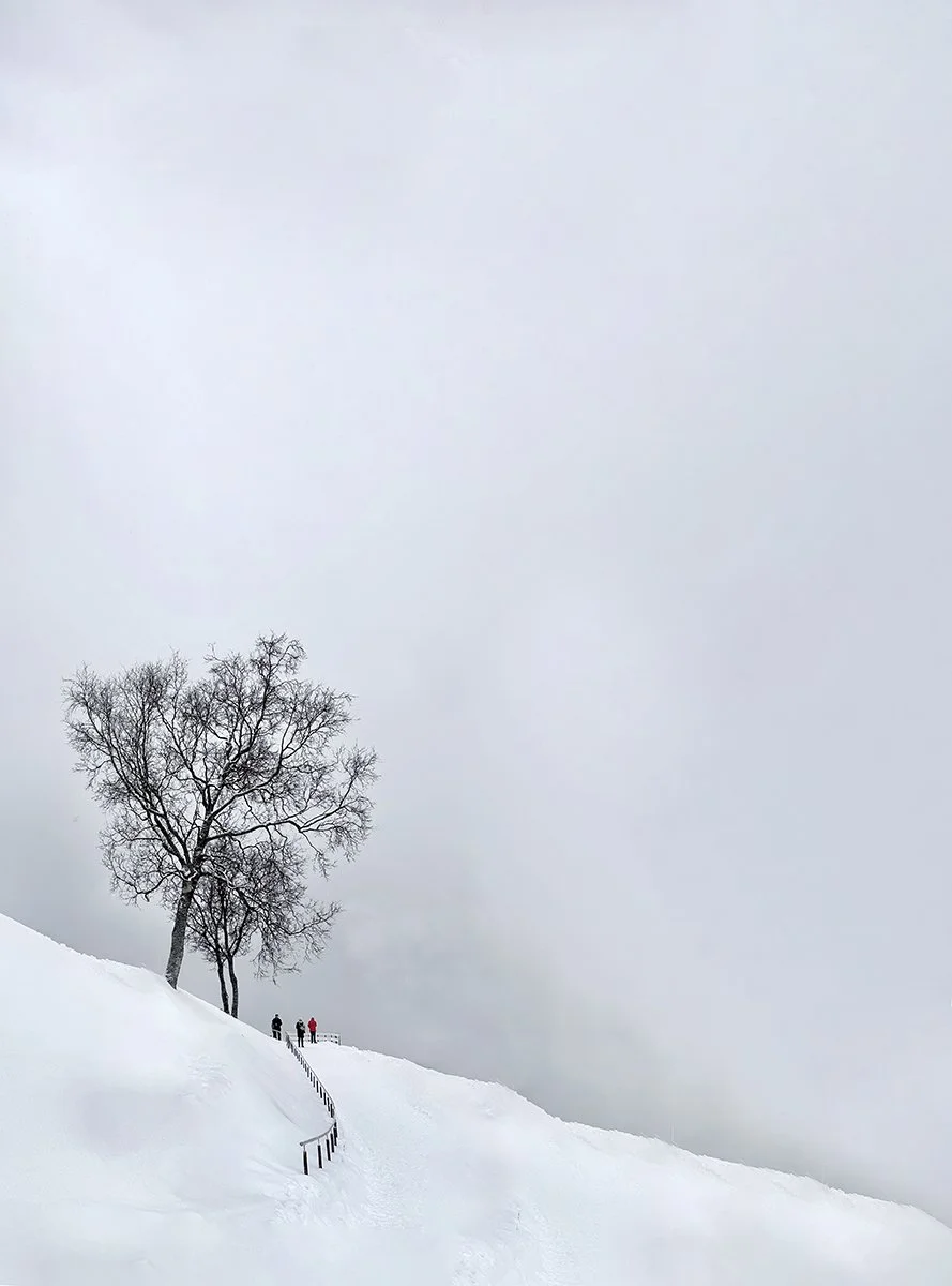 Merit - 8---Carol-Brandt---The-Lookout.jpg