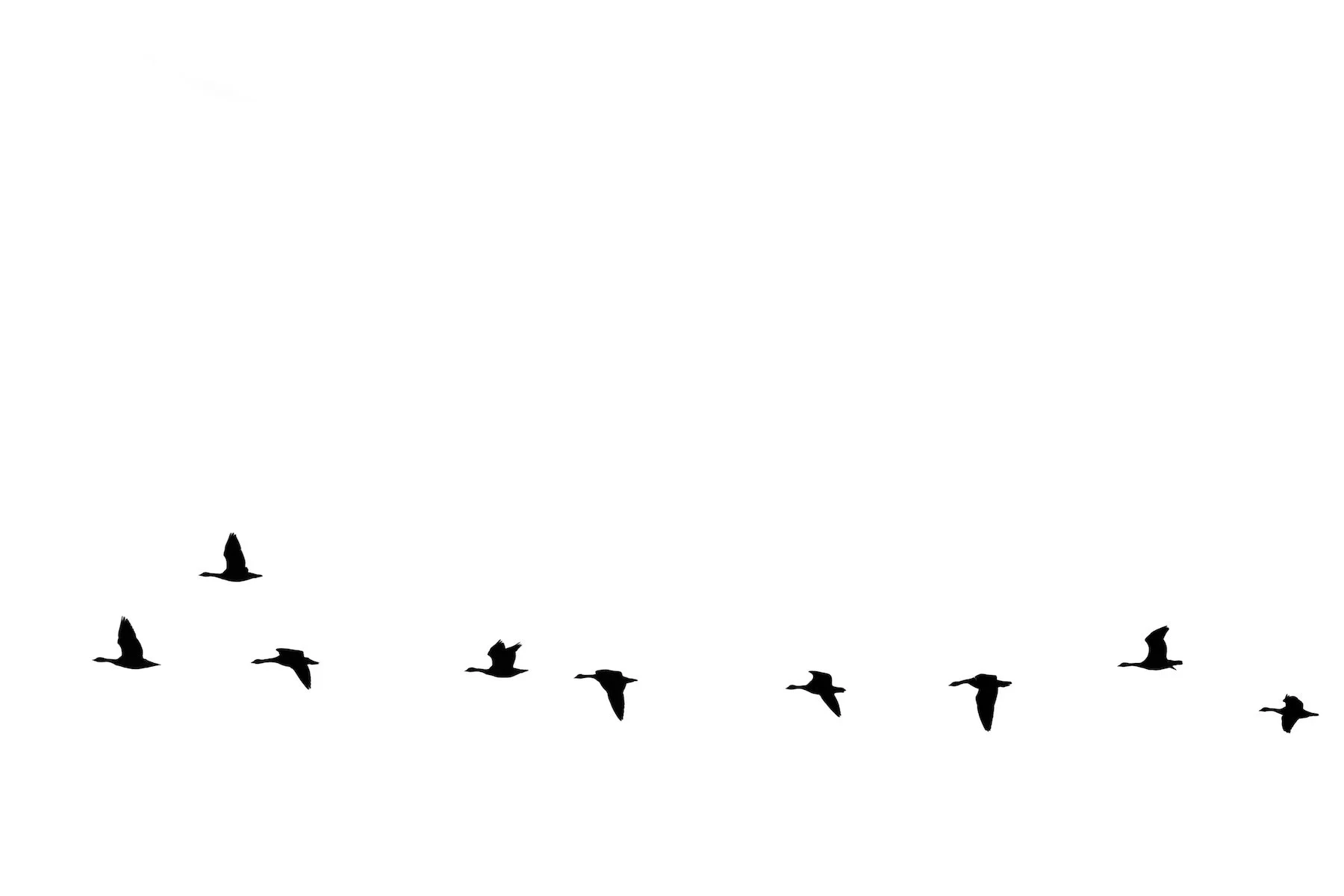 Merit - 8---Ross-Stanley---Vortex-Surfing.JPG