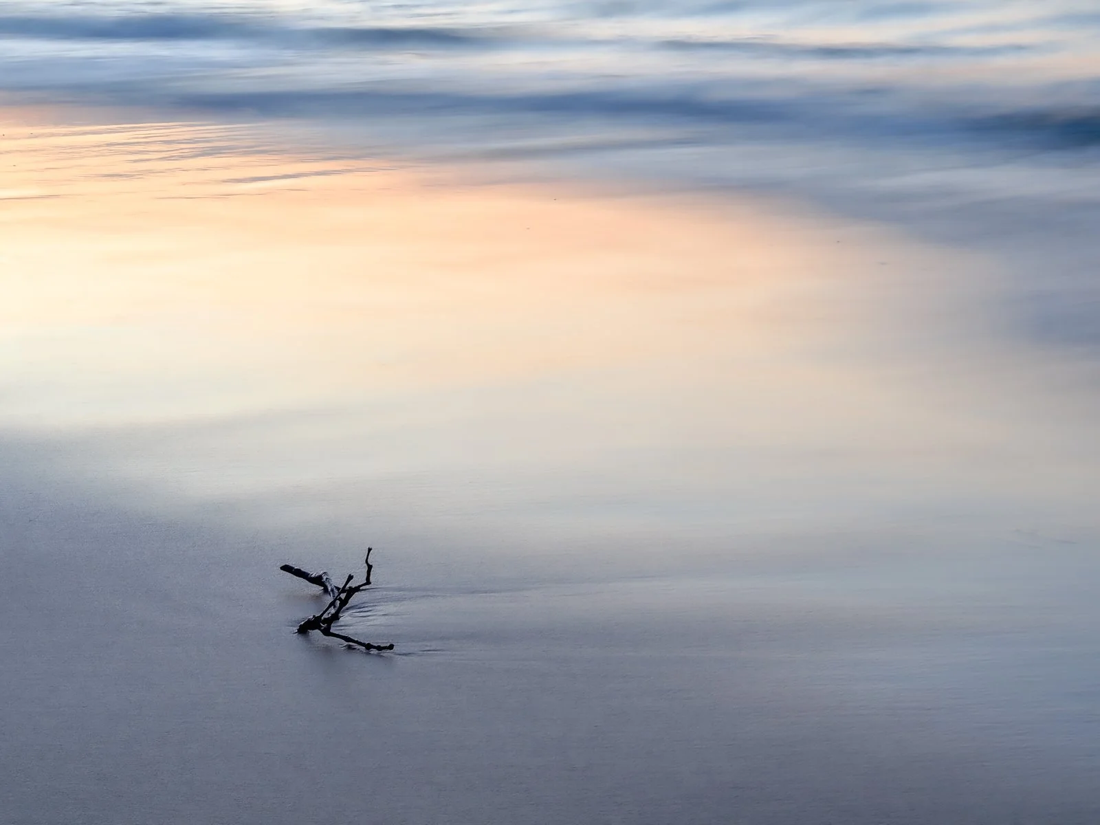 Honours- 9---Jill-Garland---Driftwood.jpg