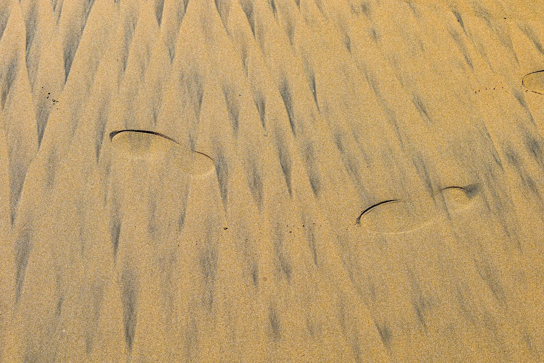 Accepted - 4---David-Harries---Footprint-to-nowhere.jpg