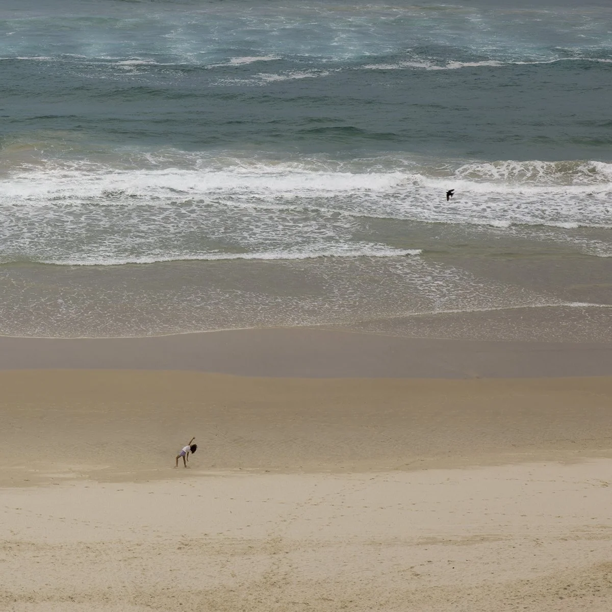 Accepted - 4---Catherine-Reading---I-Believe-I-Can-Fly.jpg