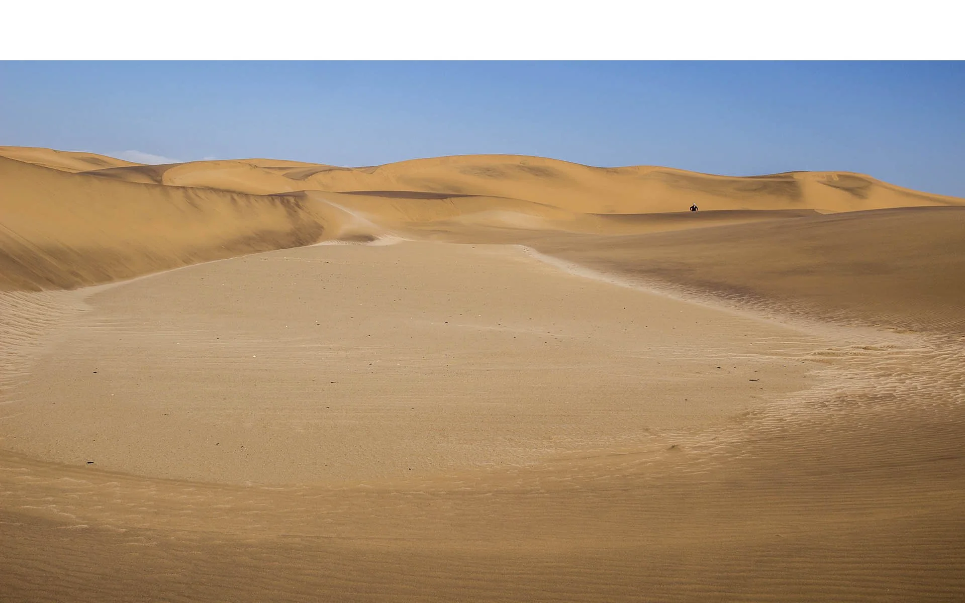 Commended - 5---Bruce-Gimber---Alone.jpg