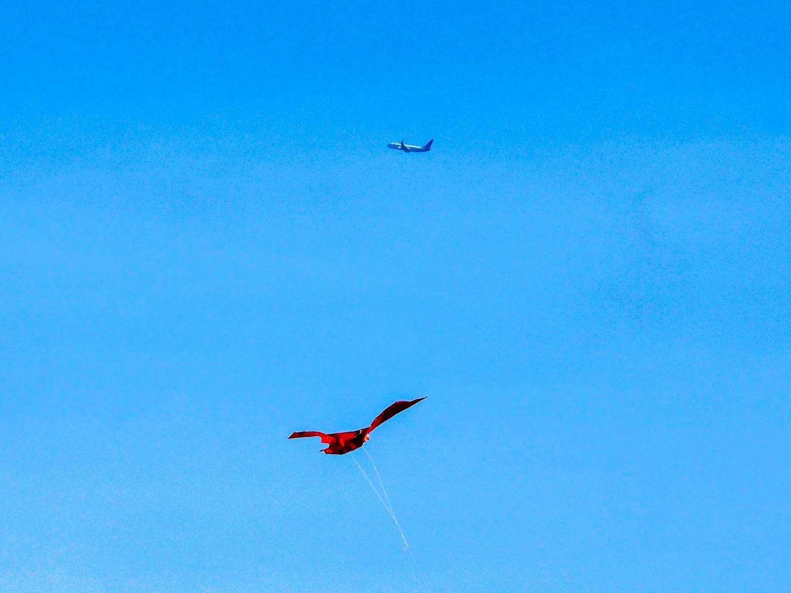 Commended - 5---Jill-Garland---Technology-ancient-and-modern.jpg