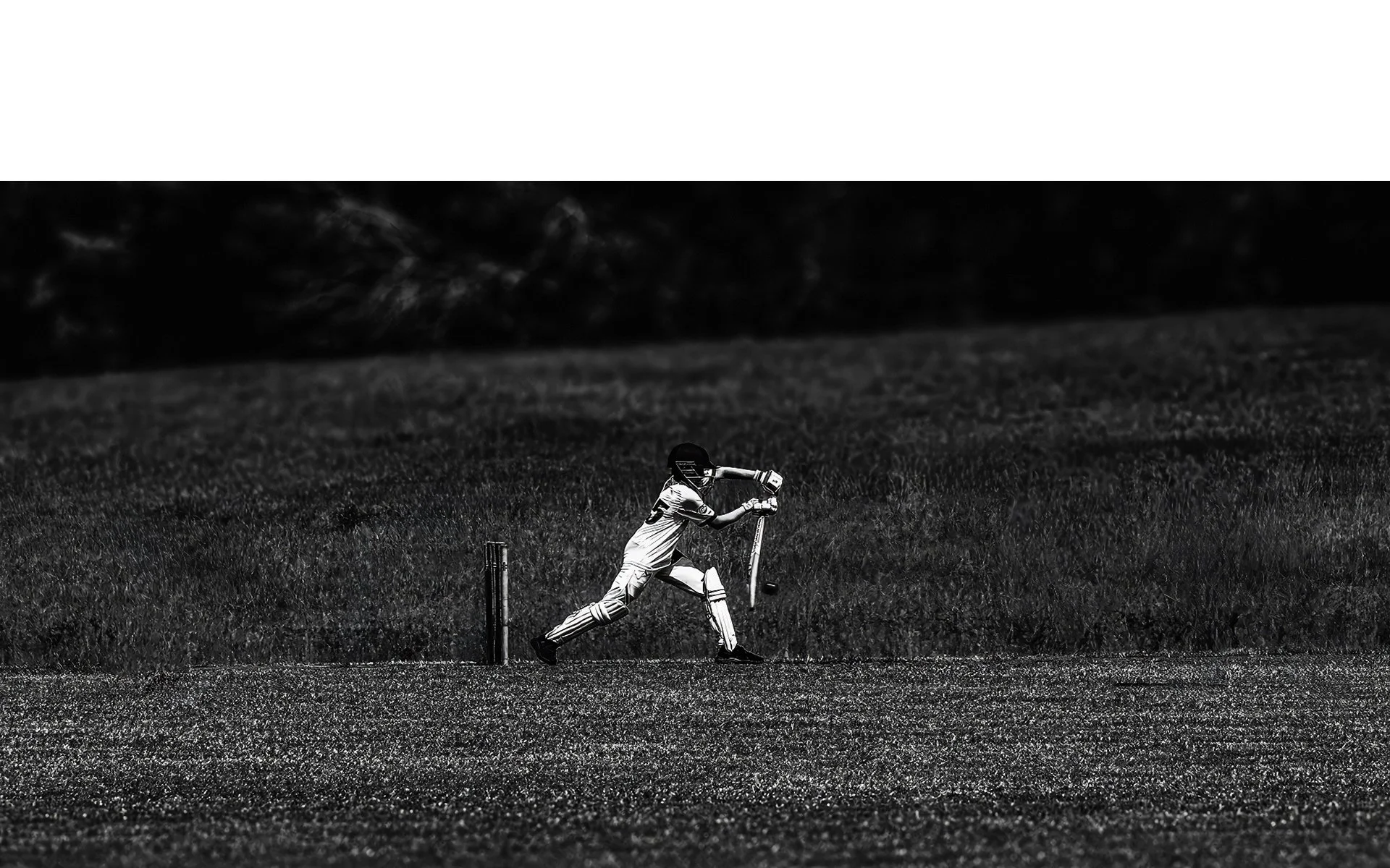 Commended - 5---Mac-McMillan---Defending-the-stumps.jpg