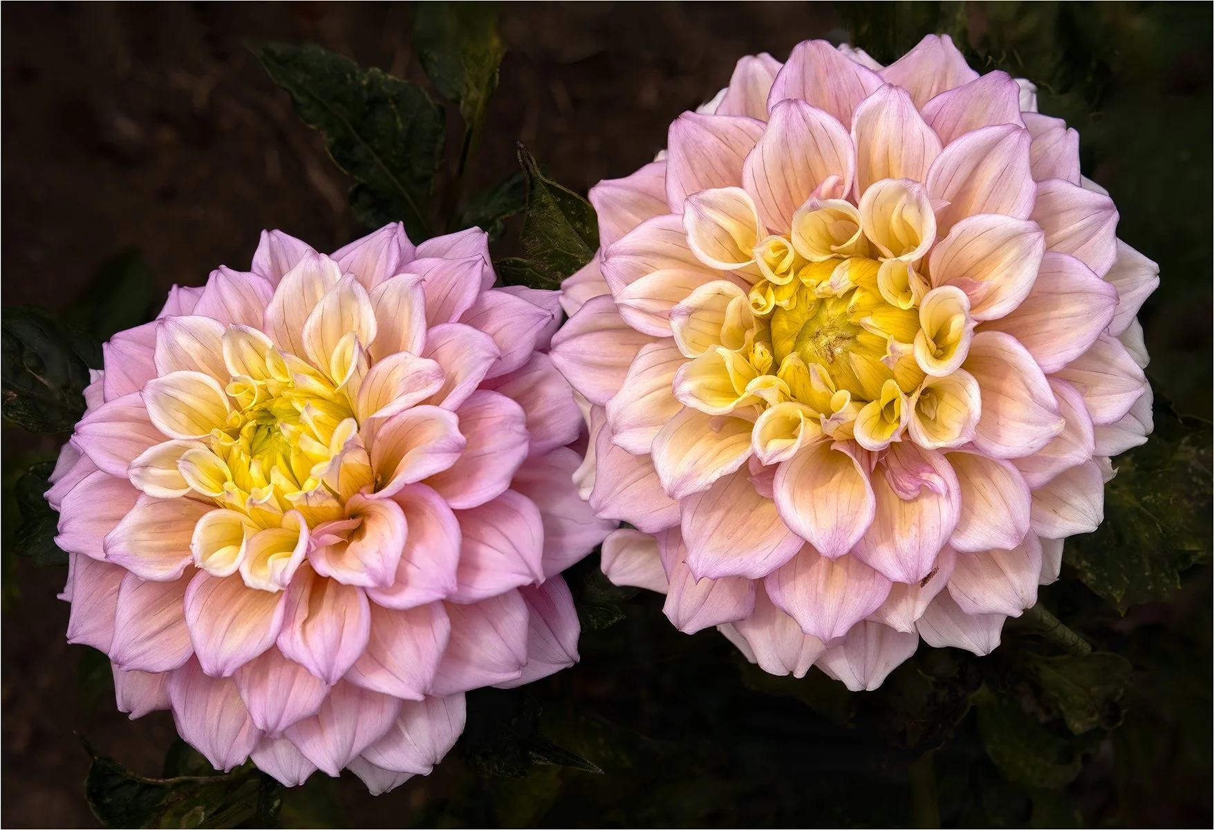 Accepted - 4---Barry-Jones---Radiance.jpg