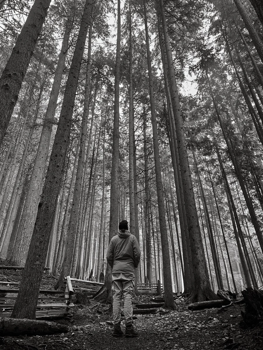 Accepted - 4---Sasha-Berridge-Lathouras---Standing-among-giants.jpg