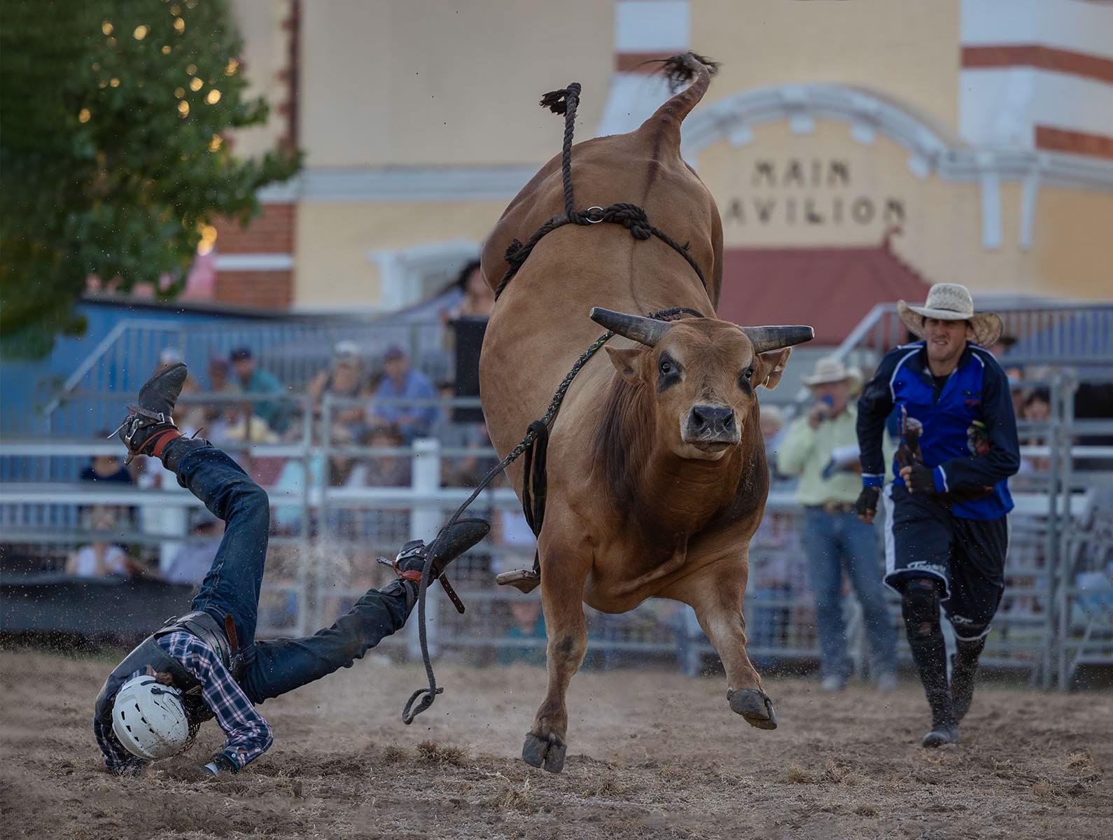 Commended - 5---Dinah-James---Clown-To-The-Rescue.jpg