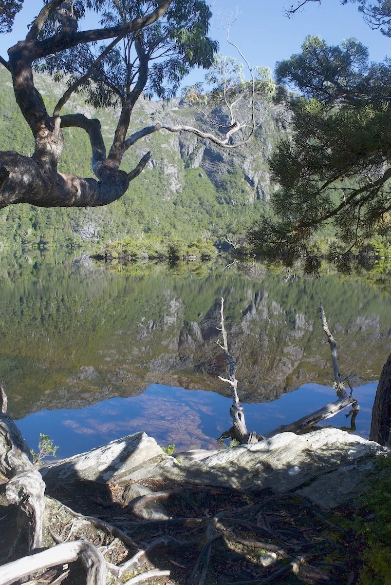Commended - 5---Ed-Stewart---Dove-Lake-at-Cradle-Mountain.jpeg