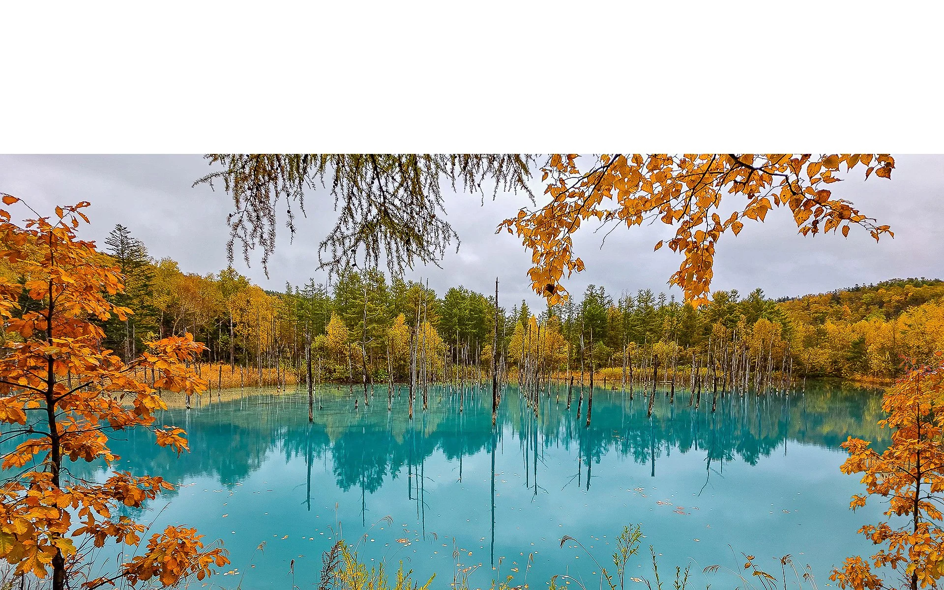 Commended - 5---Kaye-Venton---Blue-Pool.jpg