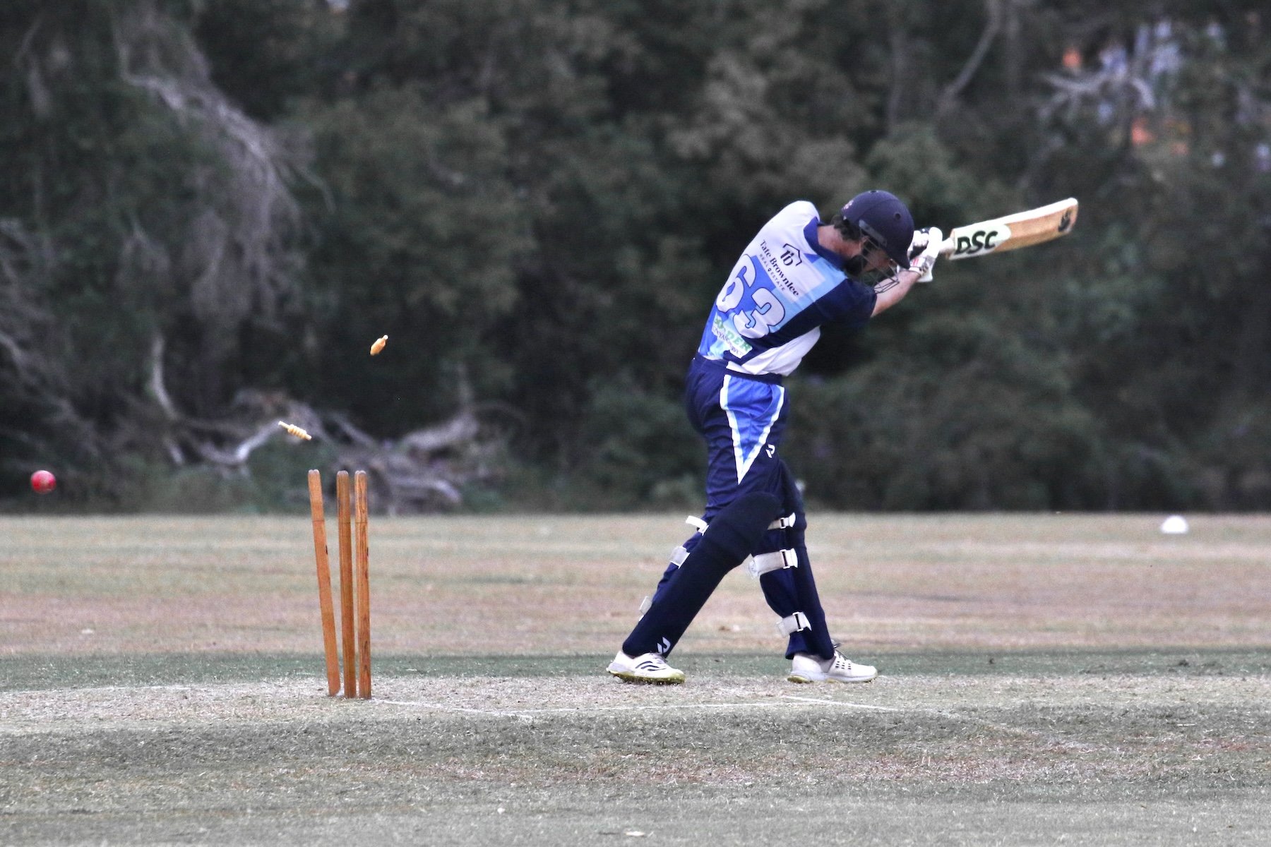 Commended - 5---Ross-Stanley---Death-Rattle.JPG