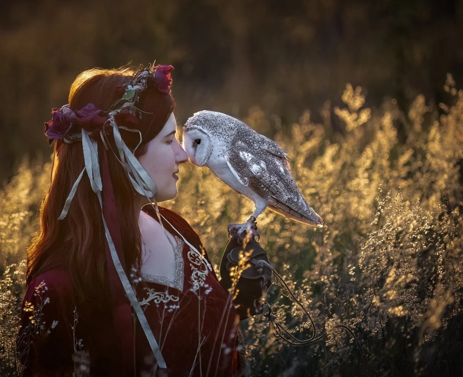 Commended - 5---Victoria-McDonald---Mutual-Affection.jpg