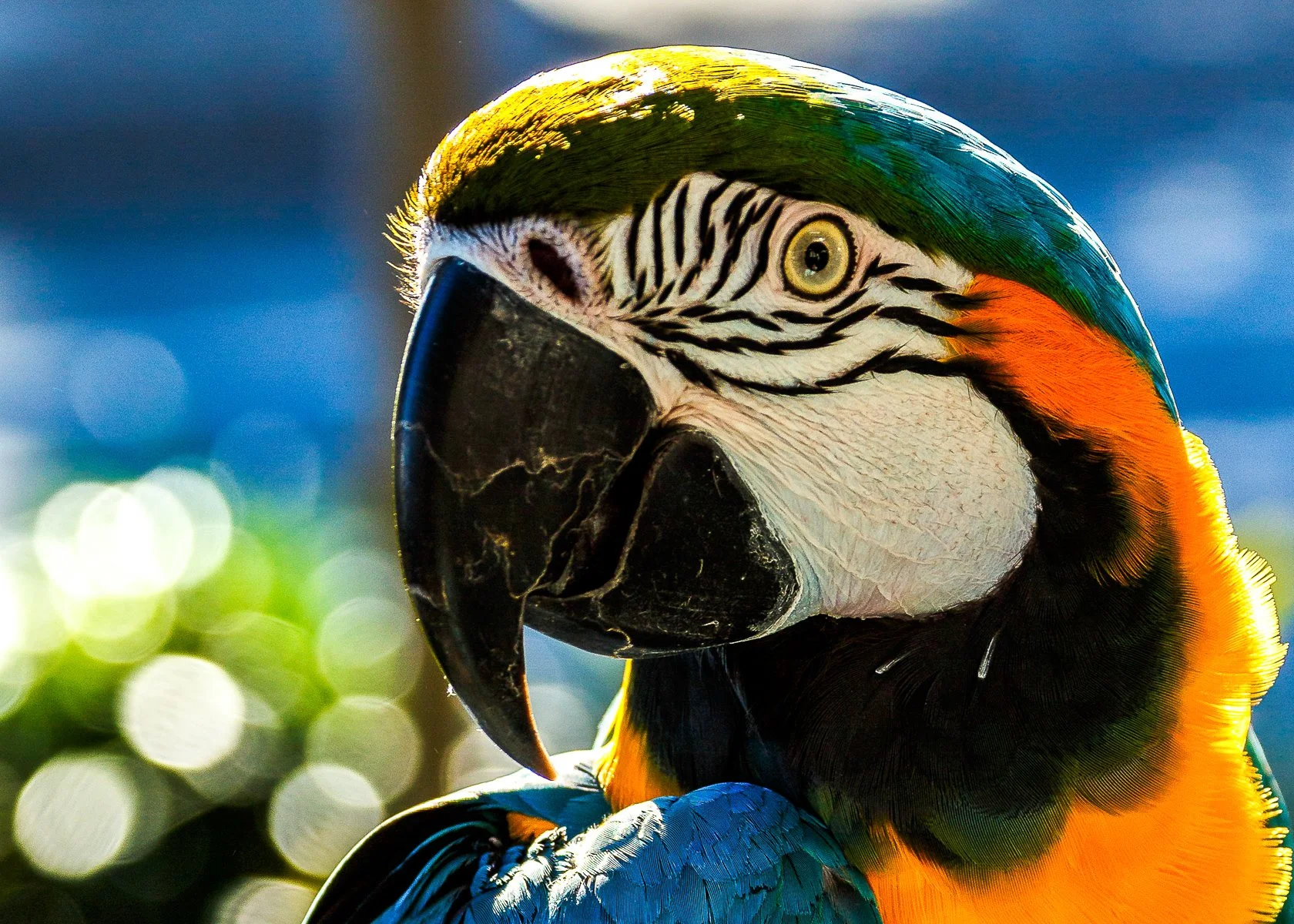 PRINT Merit - 7---Peter-Kulmer---Hmm-you-are-strange.jpg