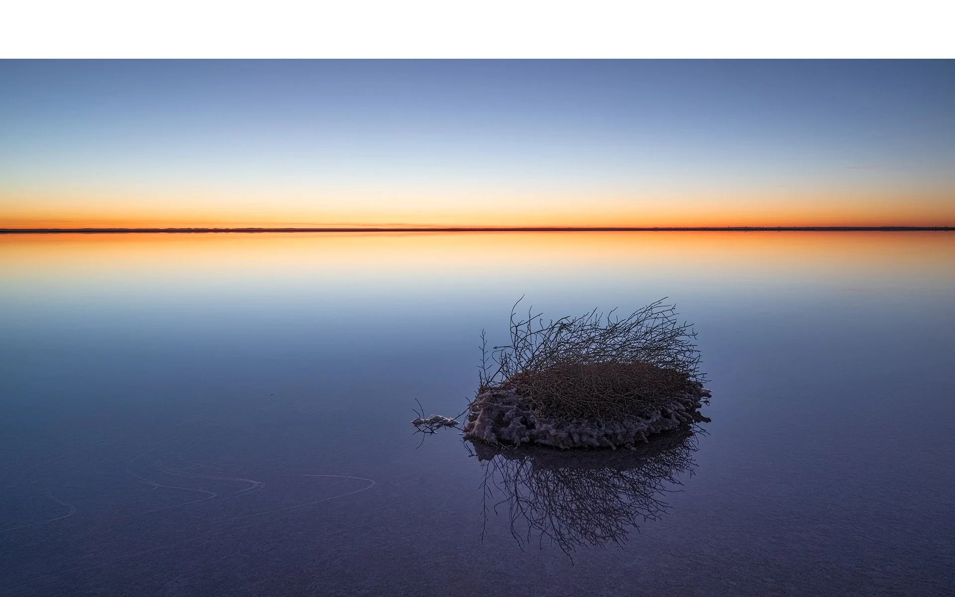 PRINT Merit - 8---Lynn-Stephens-Tait---Salt-Bush-Solitude.jpg