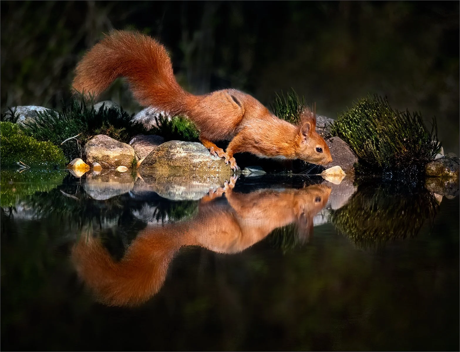 Honours- 9---Barry-Jones---Still-Waters.jpg