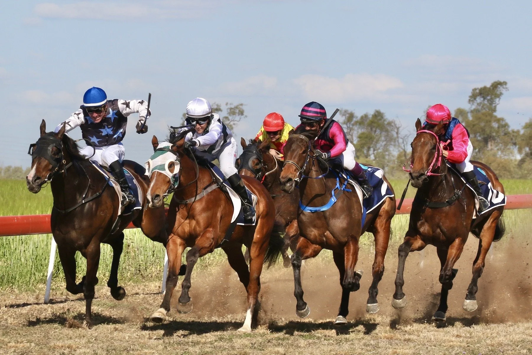 Honours- 9---Ross-Stanley---Warriors-At-Warra.jpeg