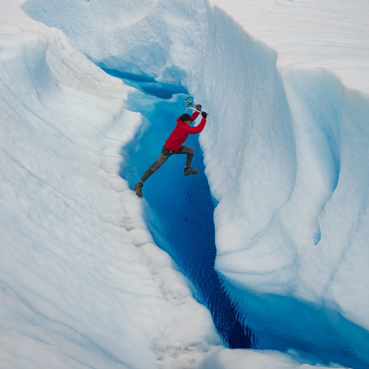 Honours- 9---Steven-Joyce---I-will-Survive.jpg