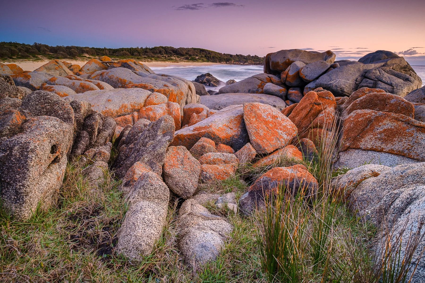 Merit - 7---Bill-Gillespie---Grey-Rock-South-Coast.jpg