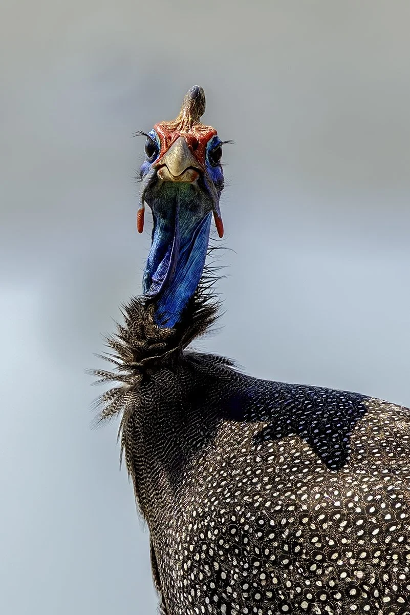 Merit - 7---Catherine-Reading---Are-You-Looking-At-Me.jpg