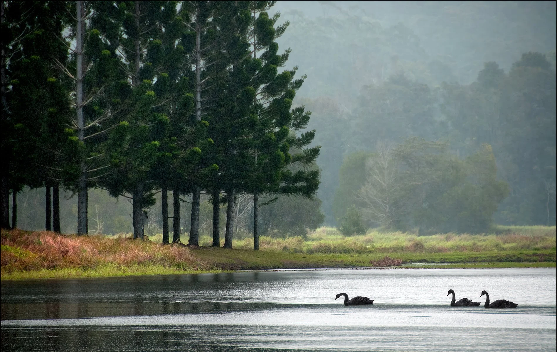 Merit - 7---Carol-Brandt---WhatsTheName-Lake.jpg