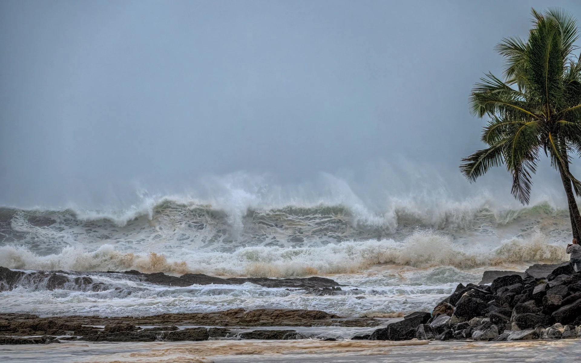 Merit - 7---Lynn-Stephens-Tait---Cyclonic-Rage.jpg