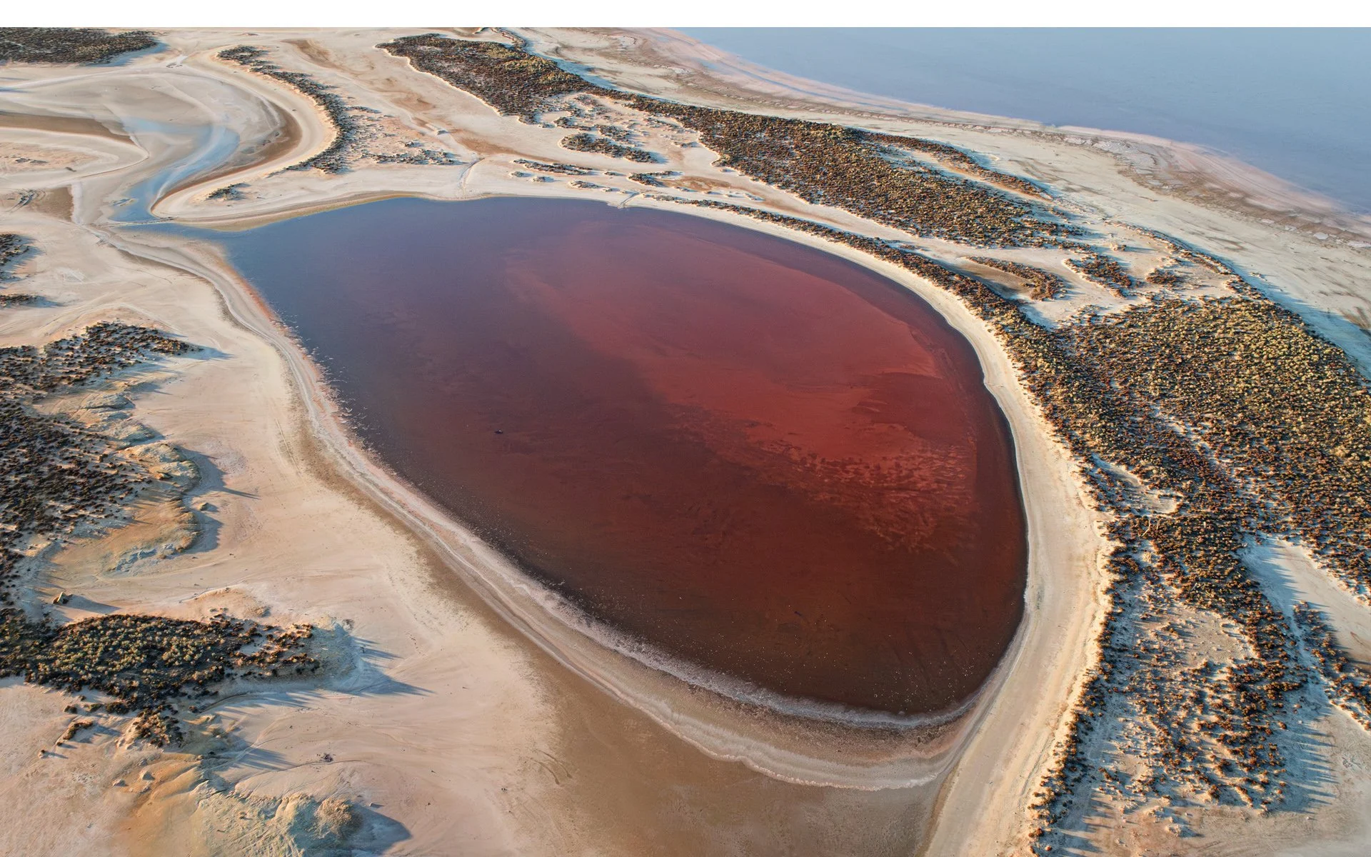 Merit - 7---Lynn-Stephens-Tait---Lifeblood.jpg