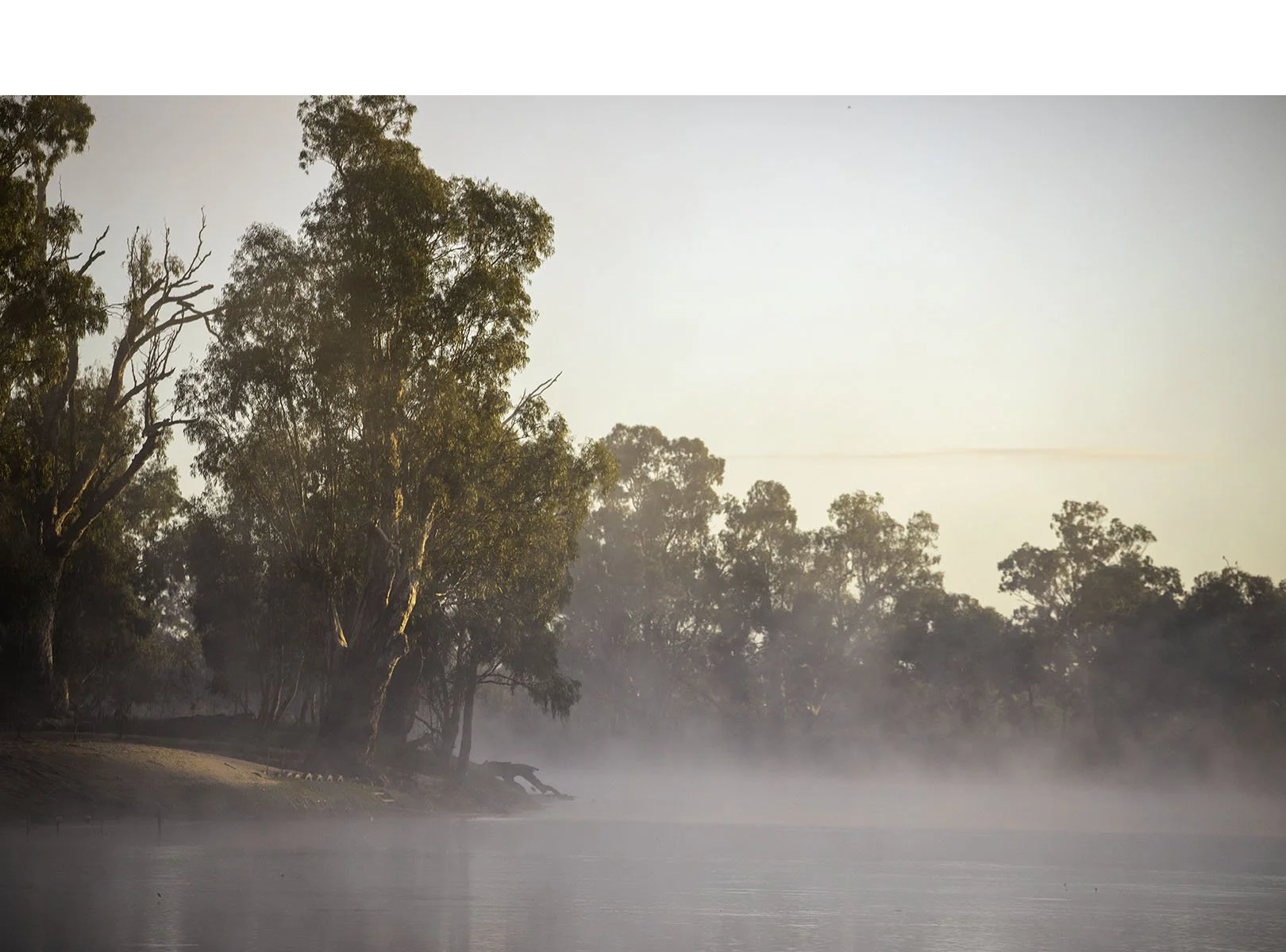 Merit - 8---Allanna-Jessup---Murray-River-Dawn.jpg