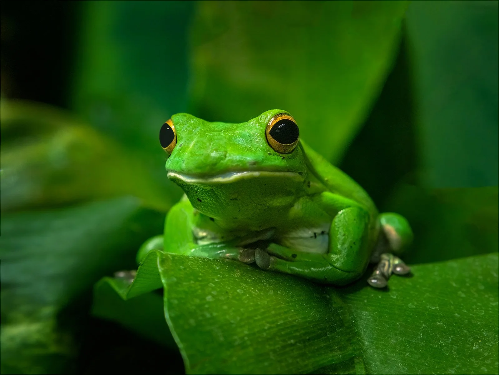 Merit - 8---Barry-Jones---Waiting.jpg