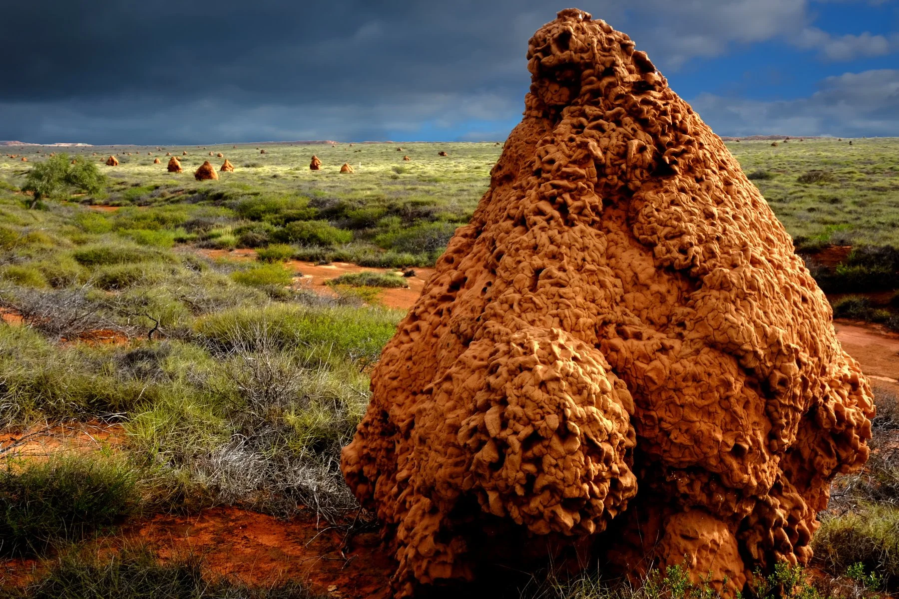 Merit - 8---Philip-Daley---Termite-Mountains-W-A.jpg