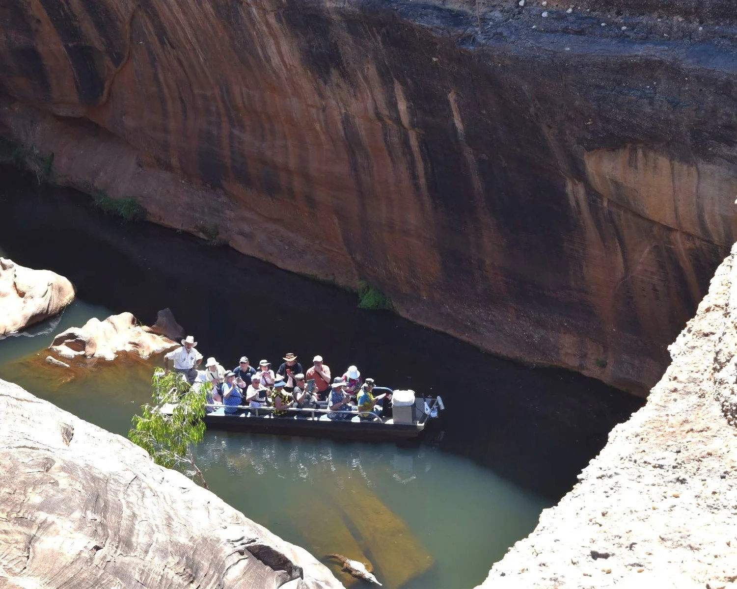 PRINT Commended - 5---David-Harries---Crocodile-Sighted.JPG