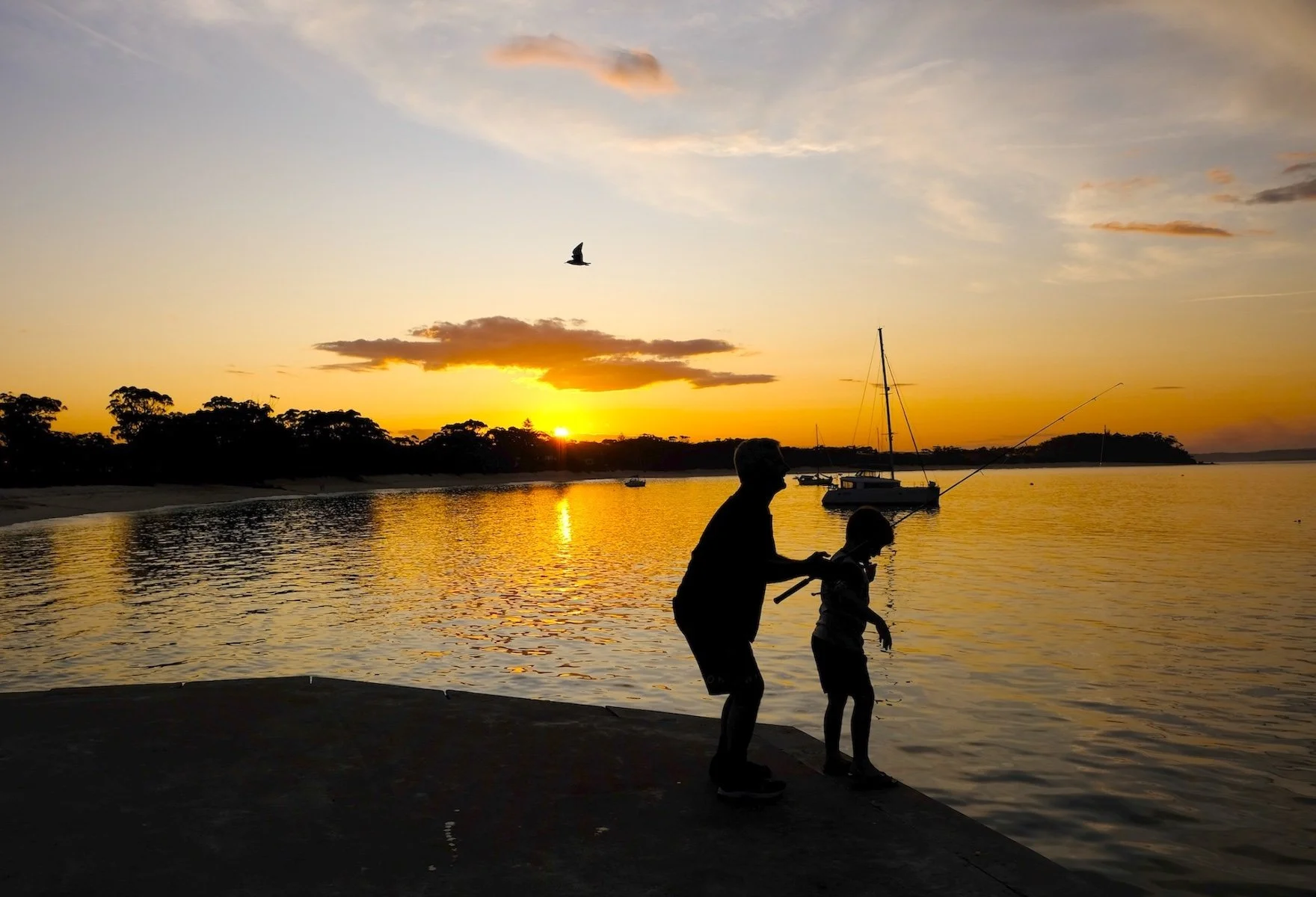 Commended - 5---Ed-Stewart---Port-Stephens-chasing-a-feed.jpeg