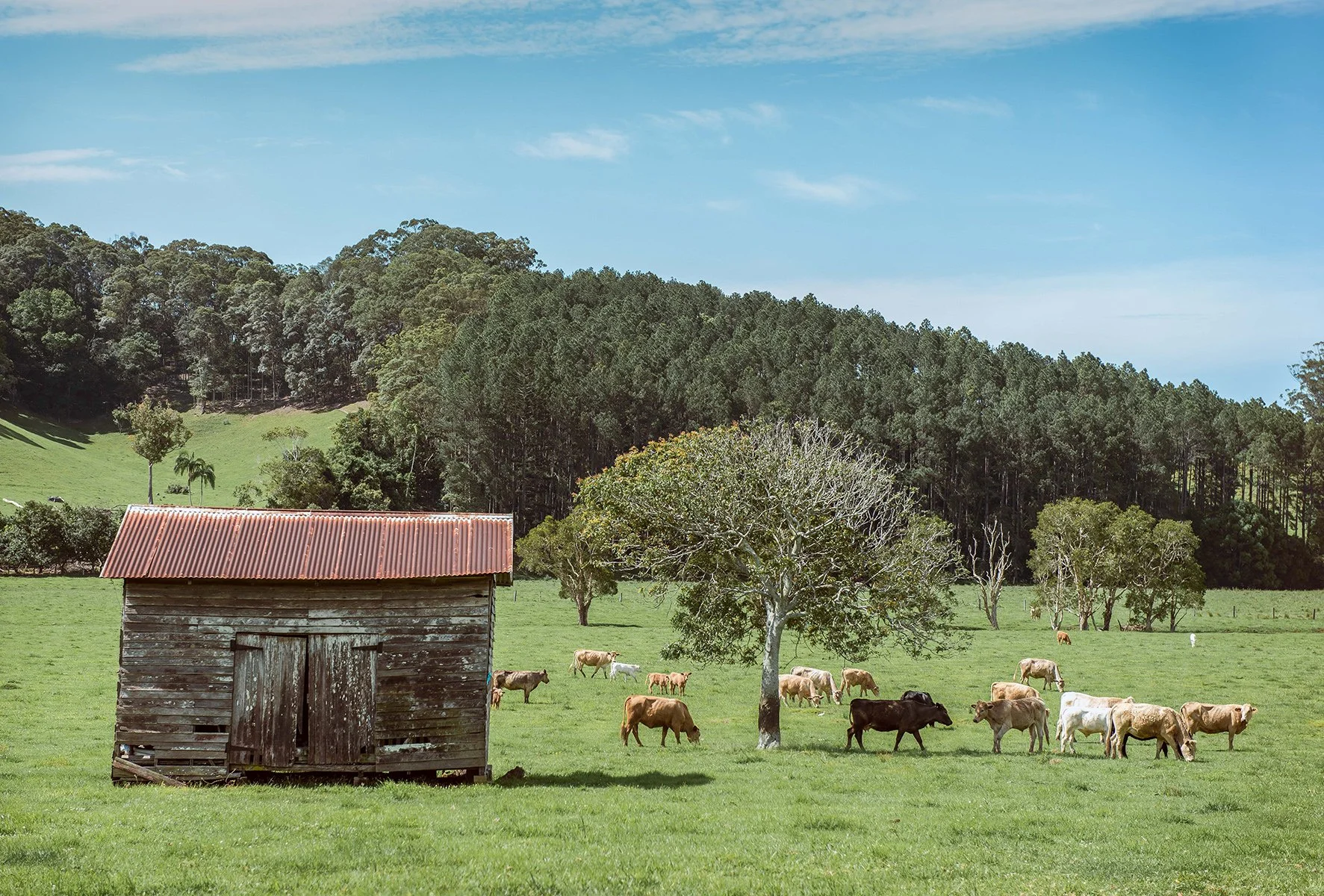 Highly Commended - 6---justin-hunt---Clothiers-creek.jpg