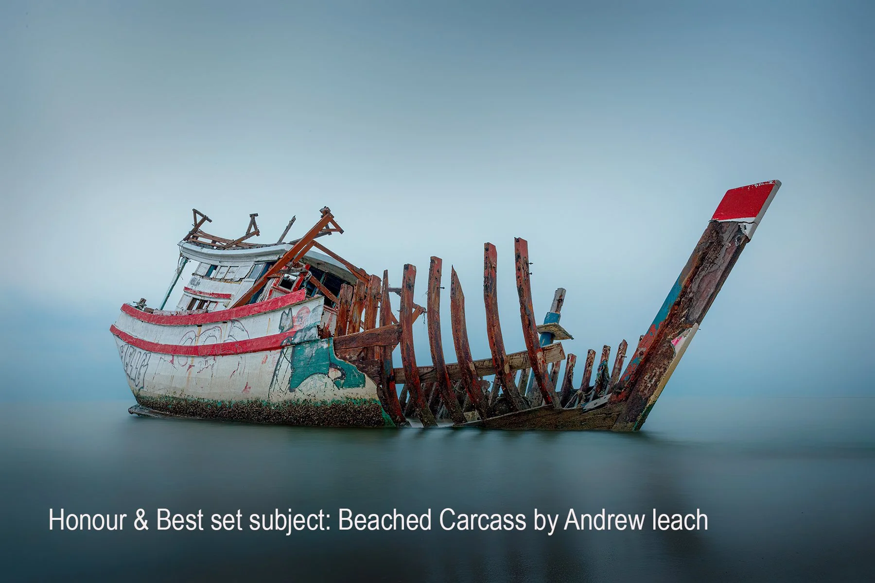 Honours- 9---Andrew-Leach---Beached-Carcass.jpg
