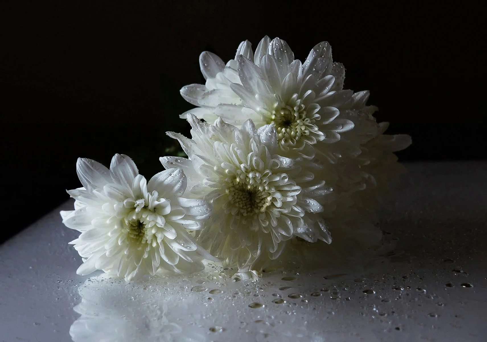 Merit - 7---Anne-Nelson---Touched-By-The-Light.jpg