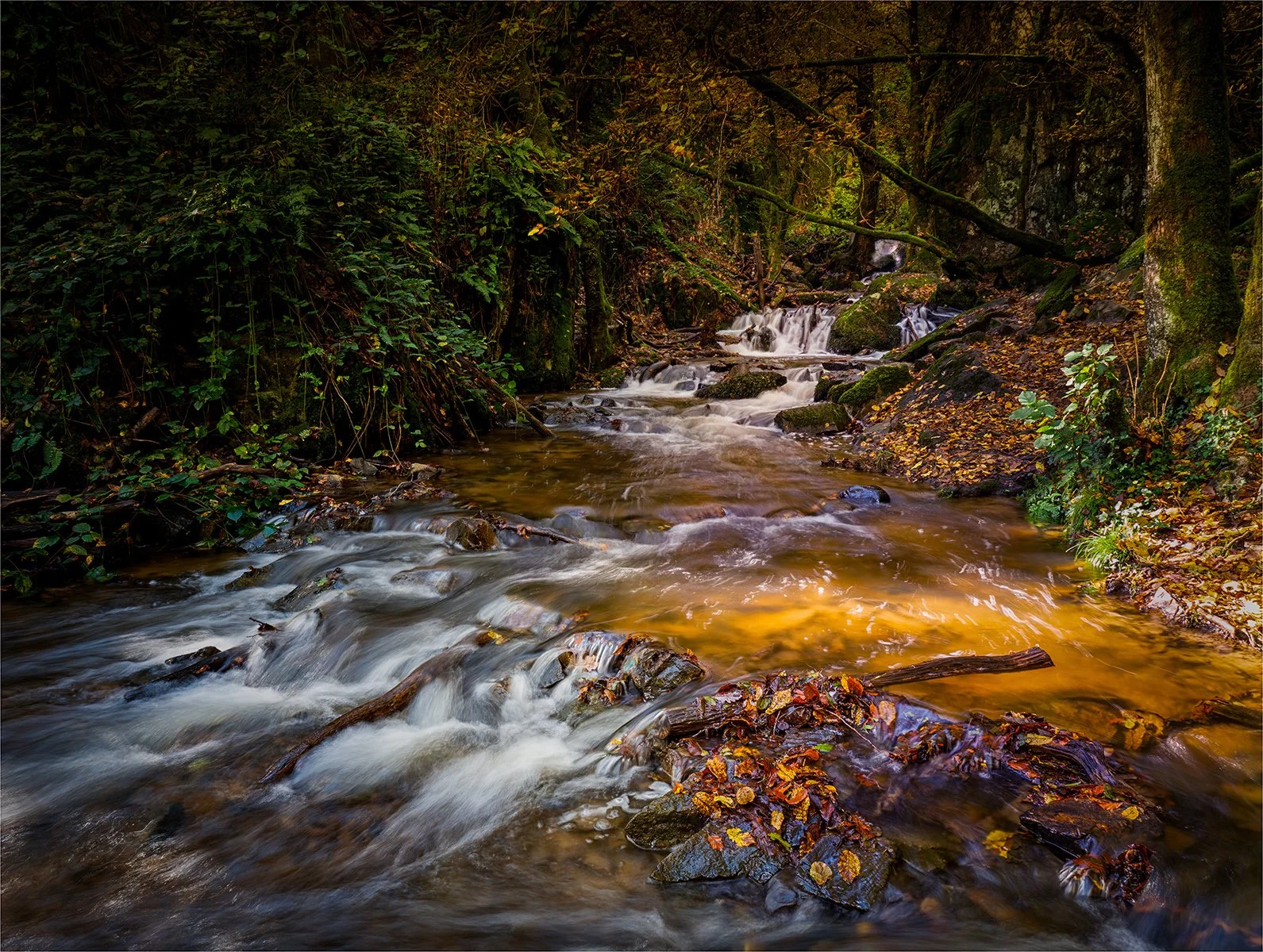 Merit - 7---Barry-Jones---Autumn-Flow.jpg