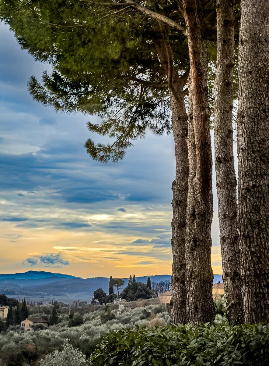 Merit - 7---Dan-Ryan---A-Winter's-Day.jpg