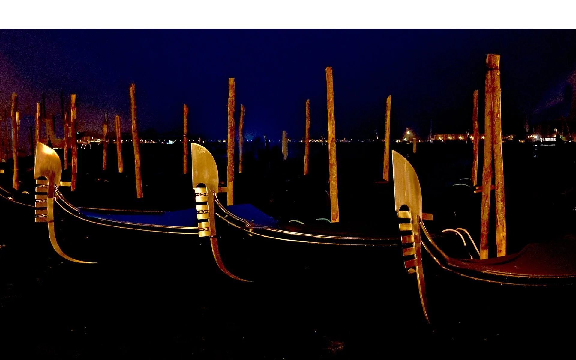 Merit - 7---Gavin-Robbie---Water-Monsters.jpg