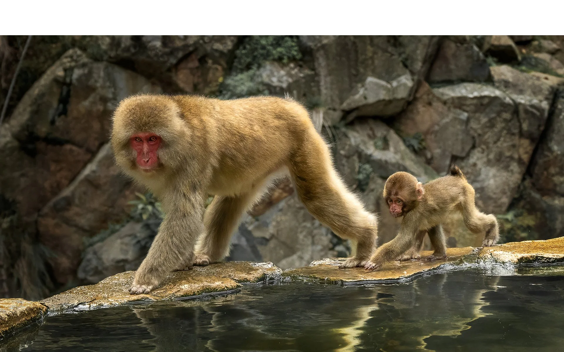 Merit - 7---Kaye-Venton---Following-in-Mums-Footsteps.jpg