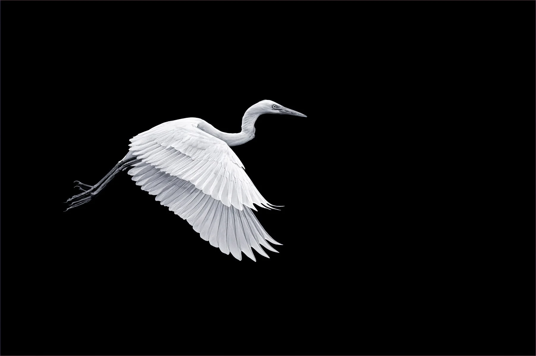 Merit - 8---Barry-Jones---Ascension.jpg