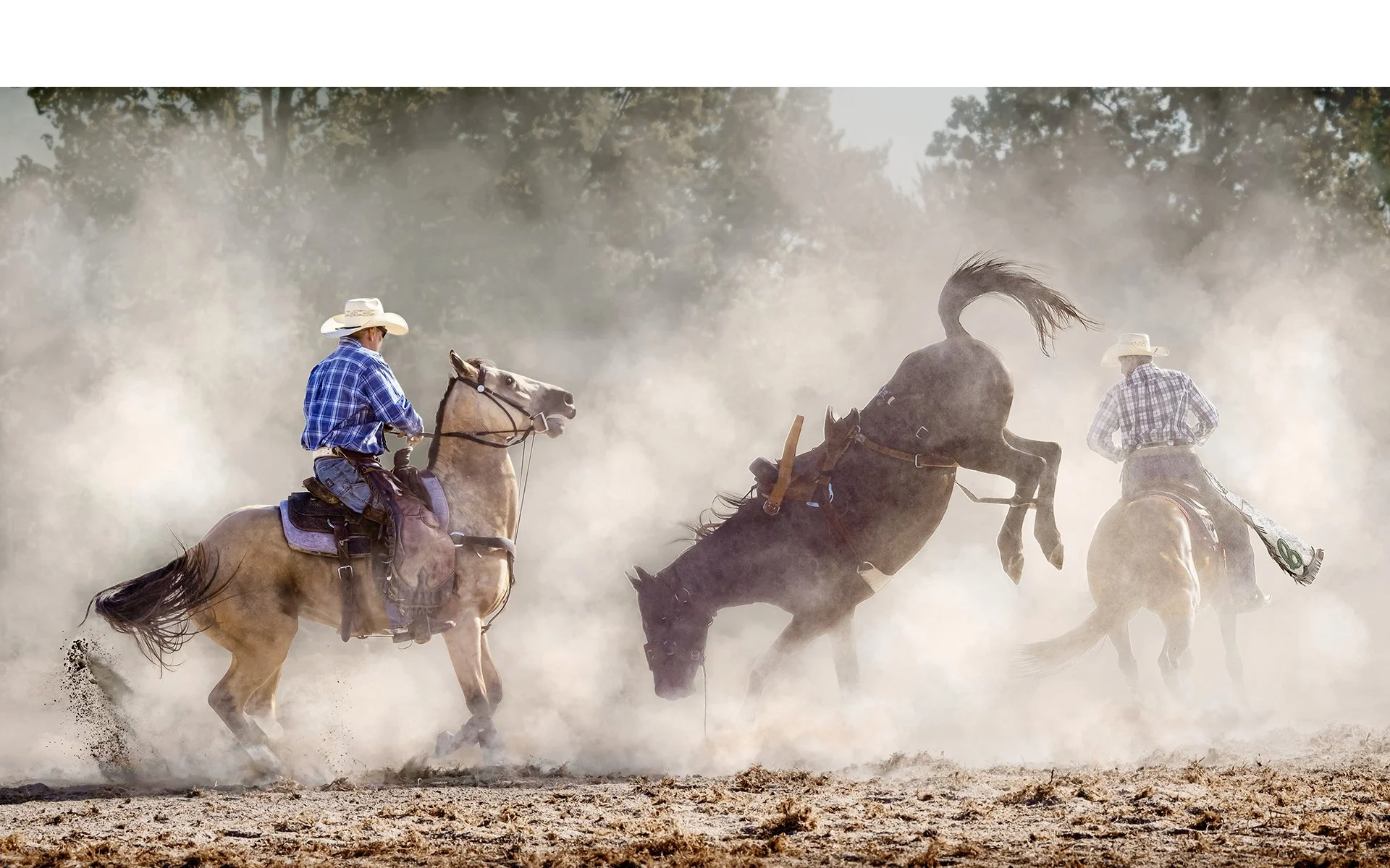 Merit - 8---Gerrit-te Grotenhuis---One-For-Josh.jpg