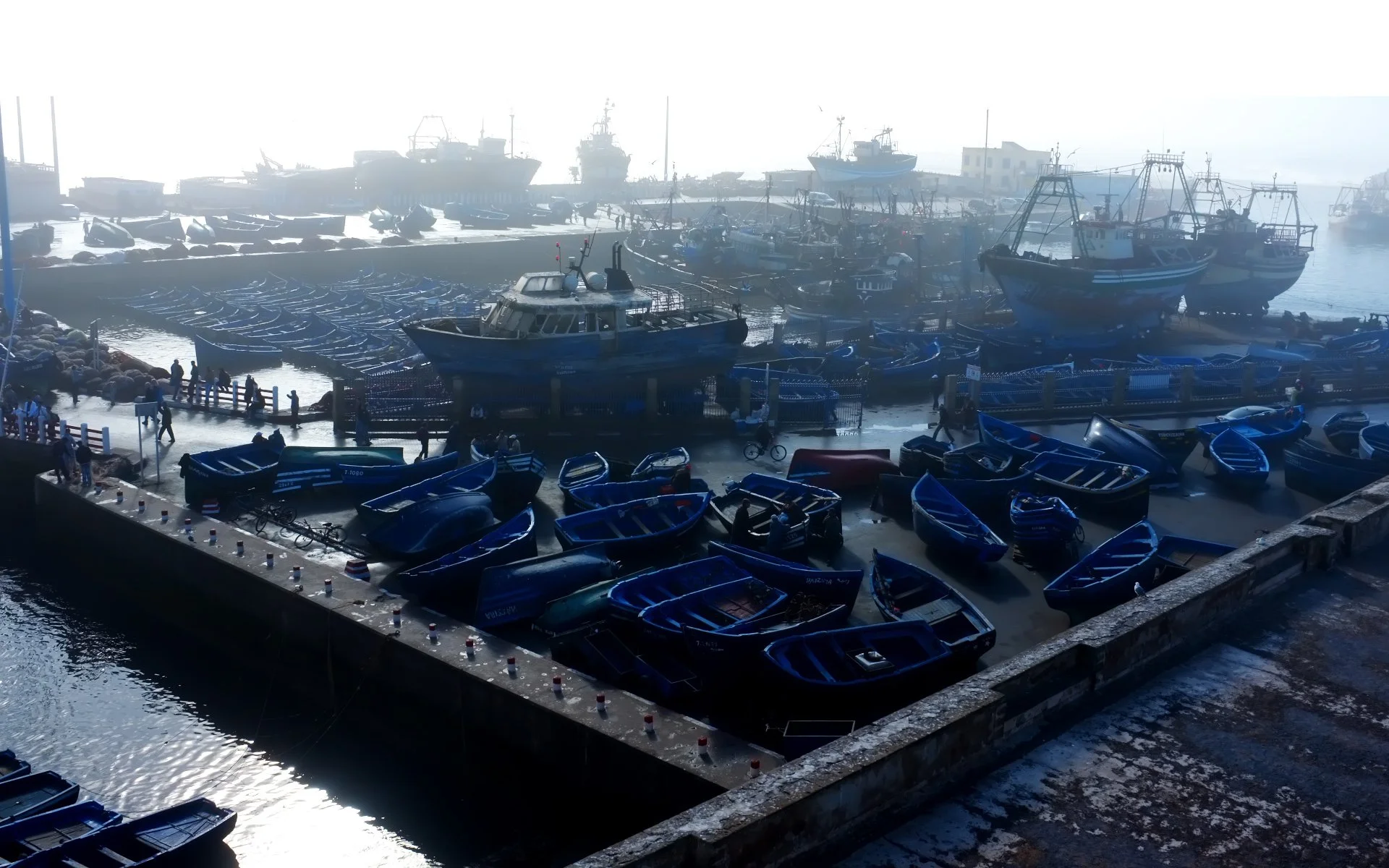 Merit - 8---Philip-Daley---A-Blue-Grounded-Fleet.jpg