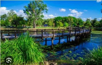 Gold Coast Botanical Gardens