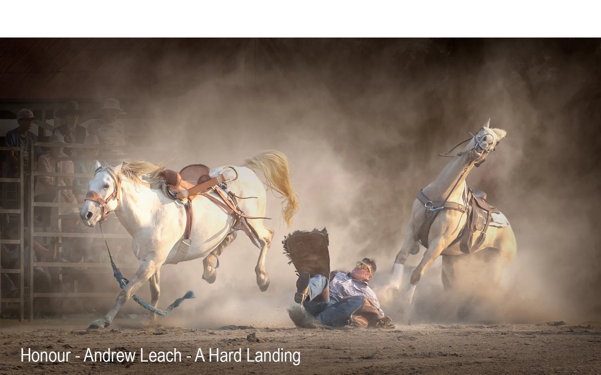Honours- 9---Andrew-Leach---A-hard-landing.jpg